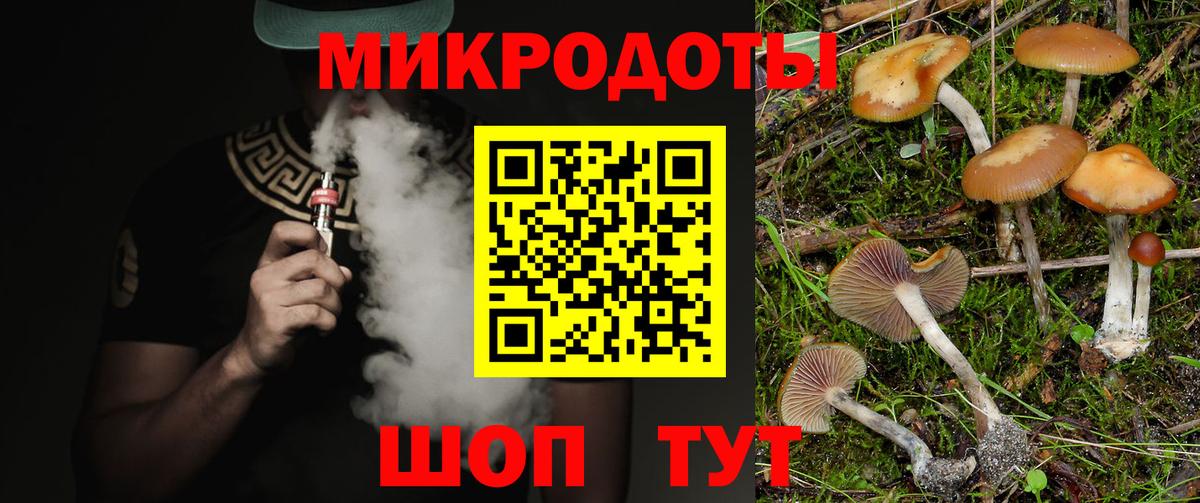 Калач-на-Дону  Псилоцибиновые грибы Psilocybine cubensis  Вход с VPN 